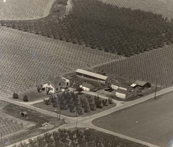 14 John's farm 1954